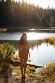 Naked young adult woman on the shore of the beautiful lake and mountains, sunny morning. Back view on gorgeous nude female.Femininity and human natural beauty Poster #684412306