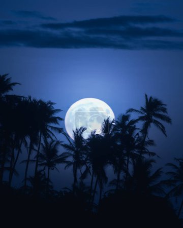 Beautiful fantasy tropical landscape of a full moon a palm trees at the tropical beach in the night skys background.