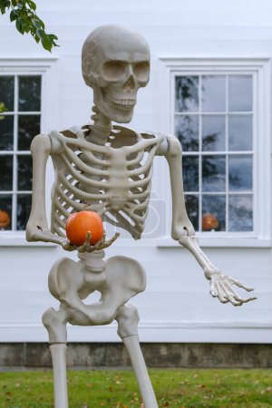 Téléchargez les photos : Décorations d'Halloween élaborées d'un squelette géant et de citrouille à l'extérieur d'une maison dans une banlieue américaine - en image libre de droit