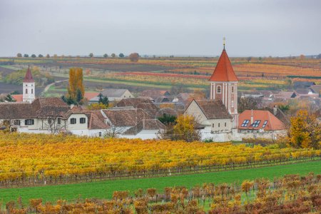 Photo for Autumnal vineyards near Mitterretzbach in Lower Austria, Austria - Royalty Free Image