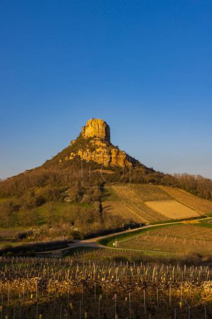 Photo for Rock of Solutre with vineyards, Burgundy, Solutre-Pouilly, France - Royalty Free Image