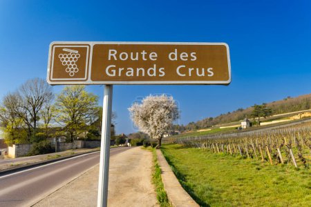 Foto de Wine road (Route des Grands Crus) near Gevrey-Chambertin, Burgundy, France - Imagen libre de derechos