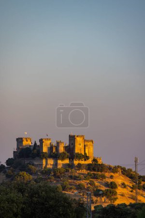 Photo for Almodovar del Rio Castle in Andalusia, Spain - Royalty Free Image