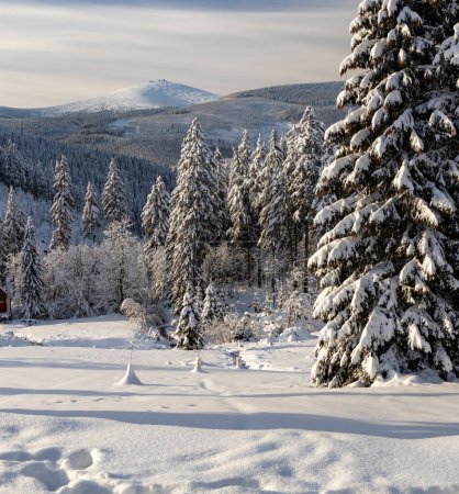 Téléchargez les photos : Paysage hivernal avec Snezka, Montagnes géantes (Krkonose), Bohême du Nord, République tchèque - en image libre de droit