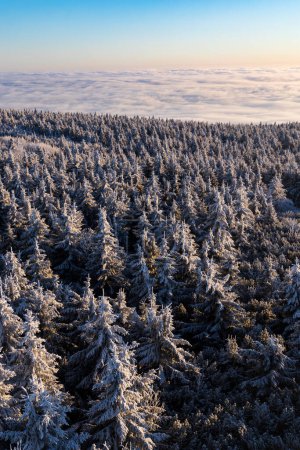 Photo for Winter landscape near Velka Destna, Orlicke mountains, Eastern Bohemia, Czech Republic - Royalty Free Image