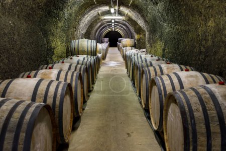 caves à vin avec tonneaux, vin traditionnel appelé Bikaver près d'Eger, Hongrie