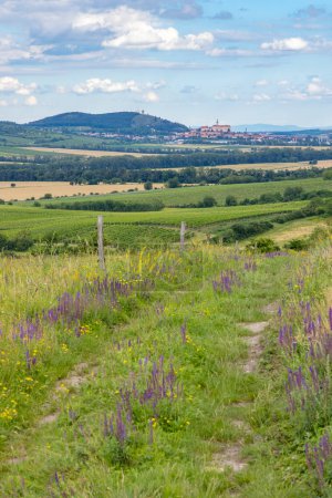 Téléchargez les photos : Paysage Palava près de Dolni Dunajovice, Moravie du Sud, République tchèque - en image libre de droit