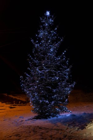 Foto de Decoración de Navidad al aire libre cubierta de nieve - Imagen libre de derechos