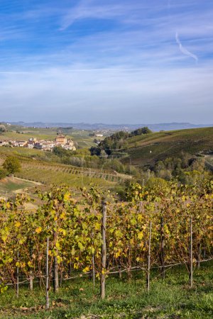Photo for Autumnal vineyards, Piedmont, Italy - Royalty Free Image