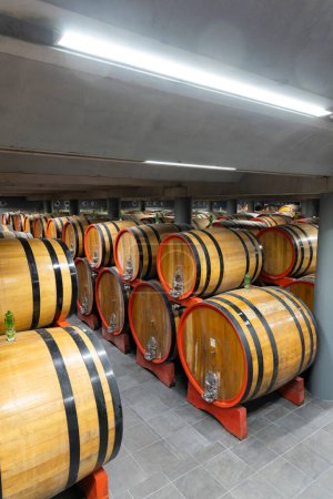 Téléchargez les photos : Cave à vin pleine de tonneaux en bois à Barolo, Piémont, Italie - en image libre de droit