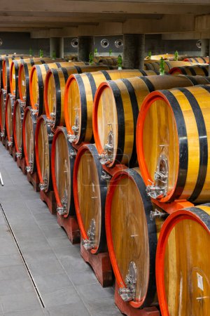 Téléchargez les photos : Cave à vin pleine de tonneaux en bois à Barolo, Piémont, Italie - en image libre de droit