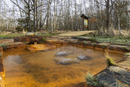 Téléchargez les photos : Réserve naturelle Soos, Bohême occidentale, République tchèque - en image libre de droit