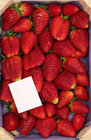 Photo for Still life of strawberries with a label for text - Royalty Free Image