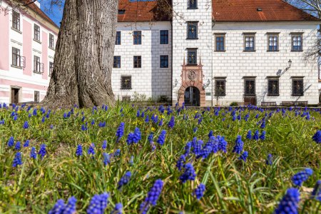 Téléchargez les photos : Trebon castle and town, Southern Bohemia, Czech Republic - en image libre de droit
