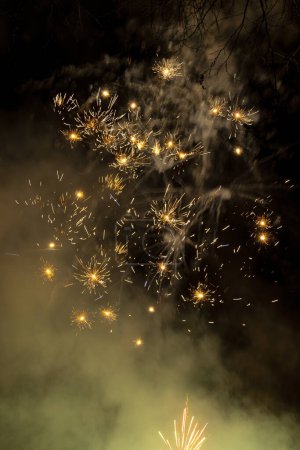 Foto de Celebración con espectáculo de fuegos artificiales por la noche - Imagen libre de derechos