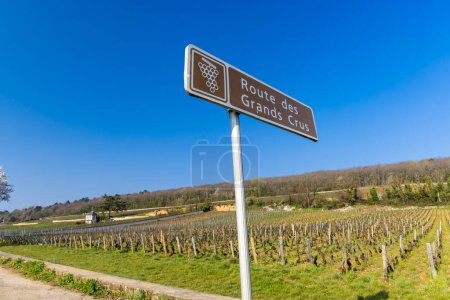 Foto de Wine road (Route des Grands Crus) near Beaune, Burgundy, France - Imagen libre de derechos