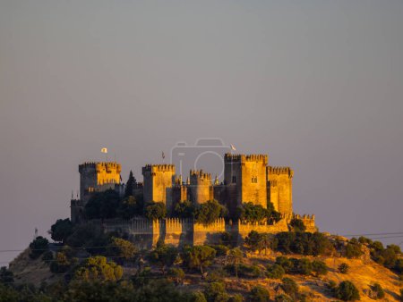 Téléchargez les photos : Château d'Almodovar del Rio en Andalousie, Espagne - en image libre de droit