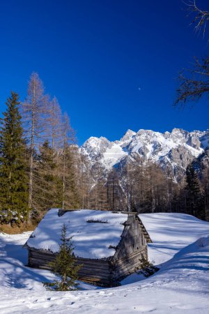 Foto de Paisaje invernal cerca de Vrsic, Parque Nacional Triglavski, Eslovenia - Imagen libre de derechos