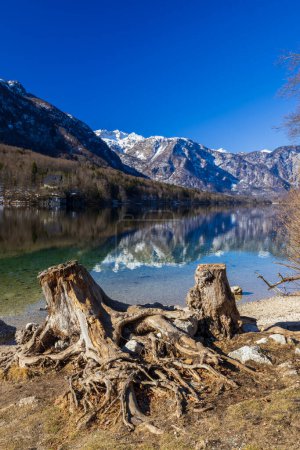 Foto de Lago Bohinjsko, Parque Nacional de Triglav, Eslovenia - Imagen libre de derechos