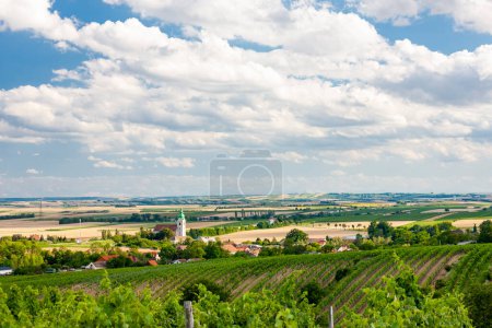 Téléchargez les photos : Unterretzbach avec vignobles, Basse-Autriche, Autriche - en image libre de droit