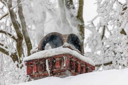 Téléchargez les photos : Fermer une cheminée en hiver - en image libre de droit