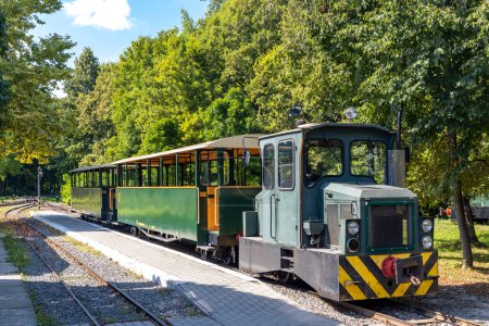 Téléchargez les photos : Chemin de fer à voie étroite à Gemenc-Dunapart, Hongrie - en image libre de droit
