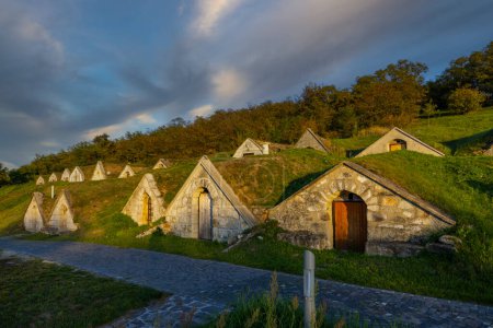Téléchargez les photos : Pinces automnales Gombos-hegyi à Hercegkut, site UNESCO, Grande plaine, Hongrie du Nord - en image libre de droit