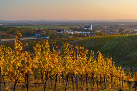 Téléchargez les photos : Vignoble automnal avec village d'Unterretzbach, Basse-Autriche, Autriche - en image libre de droit