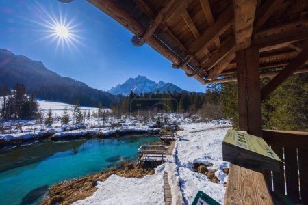 Téléchargez les photos : Paysage hivernal à Zelenci, Slovénie - en image libre de droit