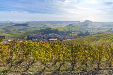 Téléchargez les photos : Vignobles automnaux près de Barolo, Piémont, Italie - en image libre de droit