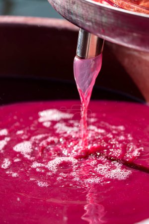 Foto de Elaboración de vino tinto por lagar - Imagen libre de derechos