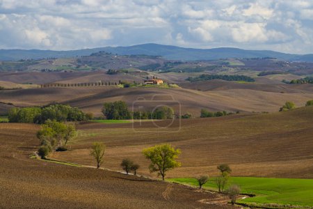 Téléchargez les photos : Paysage toscan typique près de Sienne, Toscane, Italie - en image libre de droit