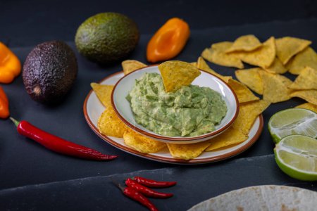 Téléchargez les photos : Durée de vie du guacamole avec des nachos - en image libre de droit