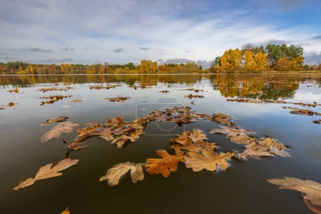 Foto de Estanque de otoño cerca de Trebon, Bohemia del Sur, República Checa - Imagen libre de derechos