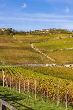 Téléchargez les photos : Vignobles automnaux, Piémont, Italie - en image libre de droit