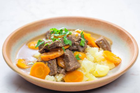 Photo for Beef stew with carrot and mashed potatoes - Royalty Free Image