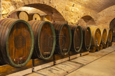 Foto de Wine cellars with barrels in Rakvice, Southern Moravia, Czech Republic - Imagen libre de derechos