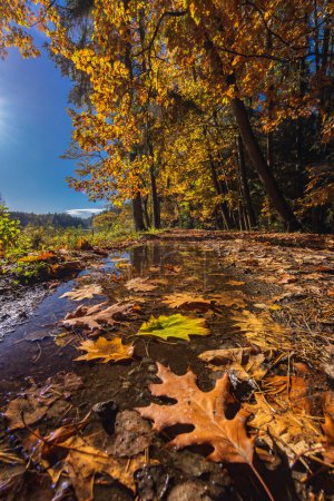 Téléchargez les photos : Typical autumn landscape in Trebonsko region near Trebon city in Southern Bohemia, Czech Republic - en image libre de droit