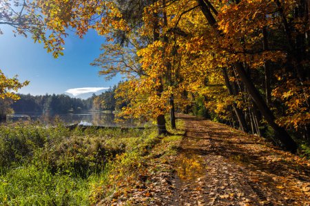 Téléchargez les photos : Typical autumn landscape in Trebonsko region near Trebon city in Southern Bohemia, Czech Republic - en image libre de droit