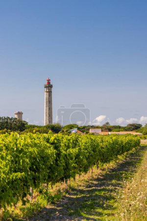 Téléchargez les photos : Lighthouse of Baleines on Re Island, Charente-Maritime, France - en image libre de droit