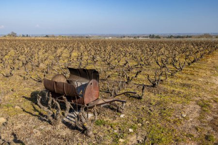 Foto de Spring vineyards near Rully, Burgundy, France - Imagen libre de derechos