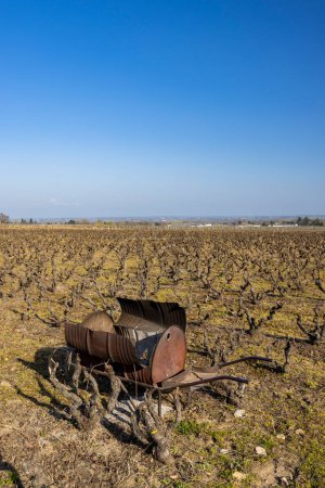 Téléchargez les photos : Spring vineyards near Rully, Burgundy, France - en image libre de droit