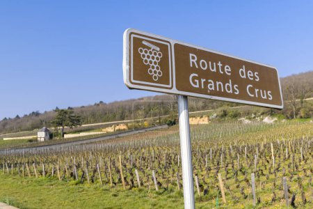 Photo for Wine road (Route des Grands Crus) near Beaune, Burgundy, France - Royalty Free Image