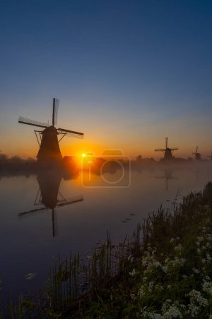 Photo for Traditional Dutch windmills with a colourful sky just before sunrise in Kinderdijk, The Netherlands - Royalty Free Image