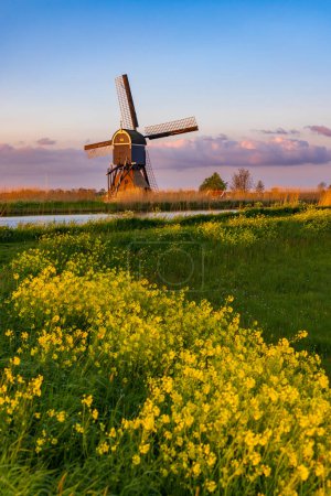 Foto de Windmill Broekmolen, Molenlanden - Nieuwpoort, The Netherlands - Imagen libre de derechos