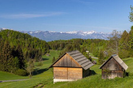 Photo for Typical wooden log cabins in Gorjuse, Triglavski national park, Slovenia - Royalty Free Image
