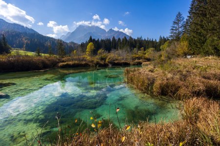 Foto de Autumnal landscape in Zelenci, Slovenia - Imagen libre de derechos