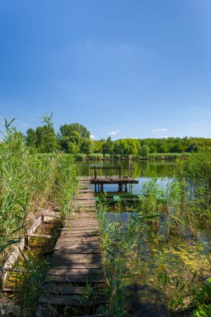 Téléchargez les photos : Landscape of Tisza in Hungary - en image libre de droit