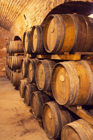 Téléchargez les photos : Wine cellars with barrels in Rakvice, Southern Moravia, Czech Republic - en image libre de droit