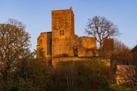 Foto de Castillo de Brancion (Chateau de Brancion), Martailly-les-Brancion, Borgoña, Francia - Imagen libre de derechos